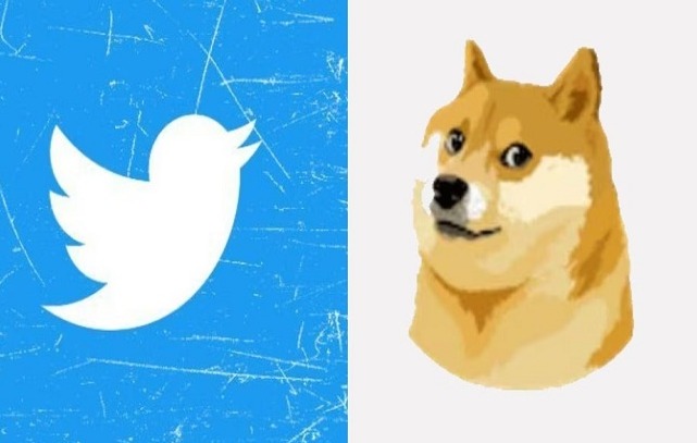 'Musk changes Twitter logo, replaces bird with dog's photo'